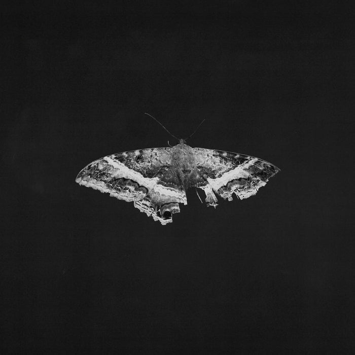 Kendrick Lamar – To Pimp A Butterfly (2xLP, 10th Anniversary, Alternate Cover)