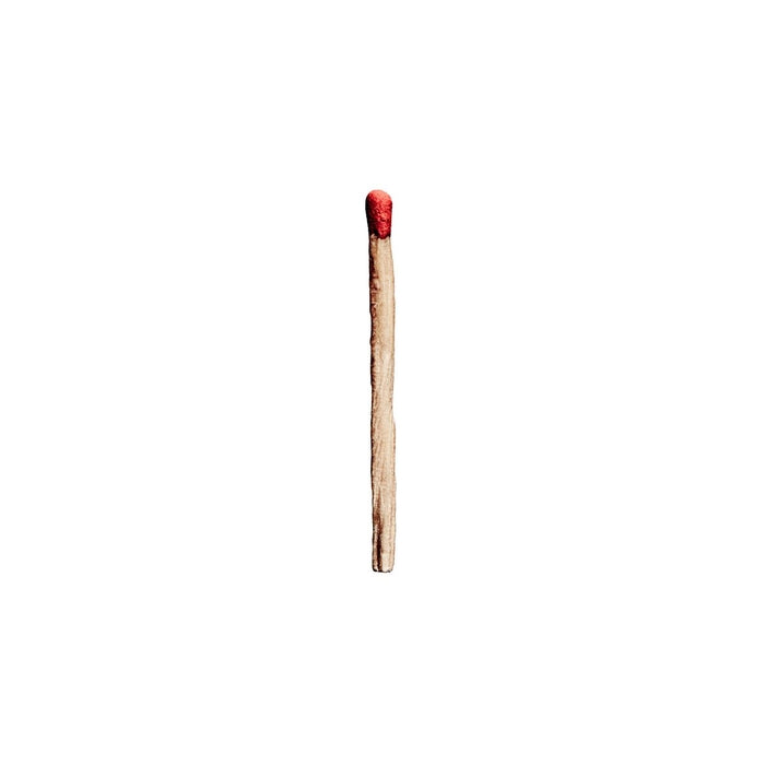 Rammstein – Rammstein (2xLP)