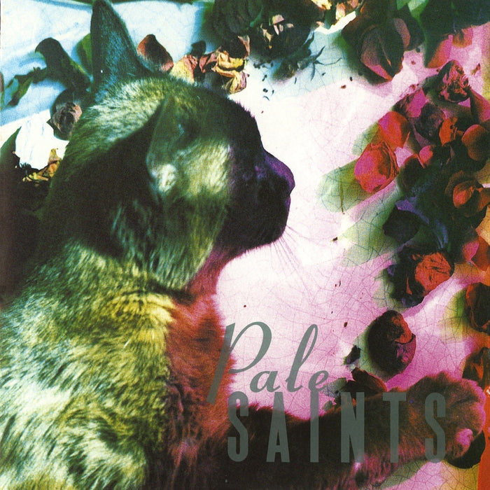 Pale Saints – The Comforts Of Madness
