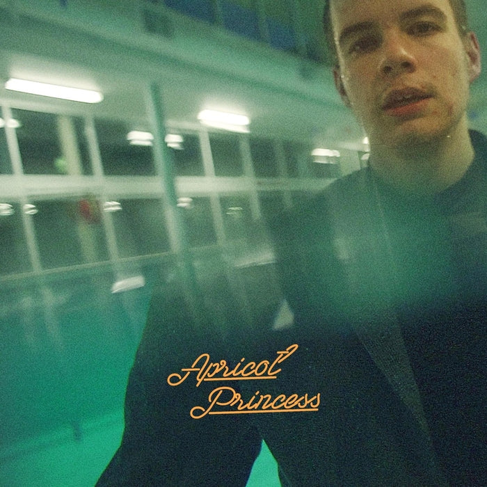 Apricot Princess – Rex Orange County (Orange Vinyl)