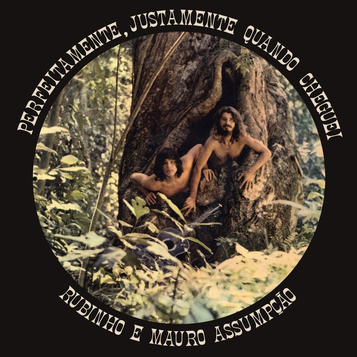 Rubinho E Mauro Assumpção – Perfeitamente, Justamente Quando Cheguei