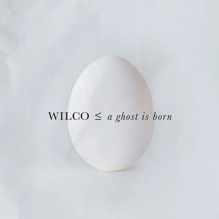Wilco – A Ghost Is Born (2xLP, 20th Anniversary Expanded Edition)