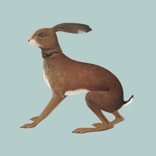 Vashti Bunyan – Lookaftering - Expanded Edition (2xLP)