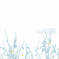 The Shins – Oh, Inverted World (20th Anniversary Edition)