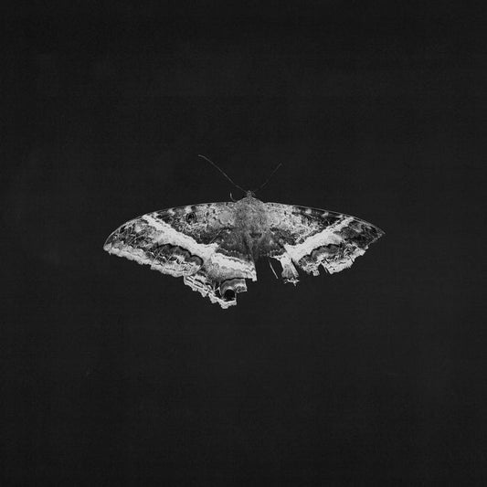 Kendrick Lamar – To Pimp A Butterfly (2xLP, 10th Anniversary, Alternate Cover)