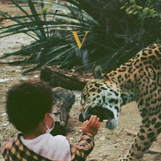 Unknown Mortal Orchestra – V (2xLP)
