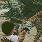 Unknown Mortal Orchestra – V (2xLP)