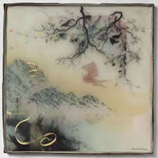 Novo Amor – Birthplace