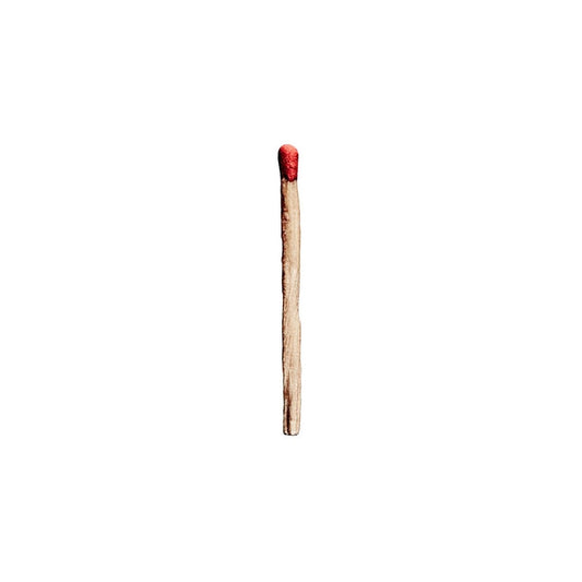 Rammstein – Rammstein (2xLP)