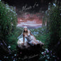 Suki Waterhouse – Memoir Of A Sparklemuffin (2xLP)