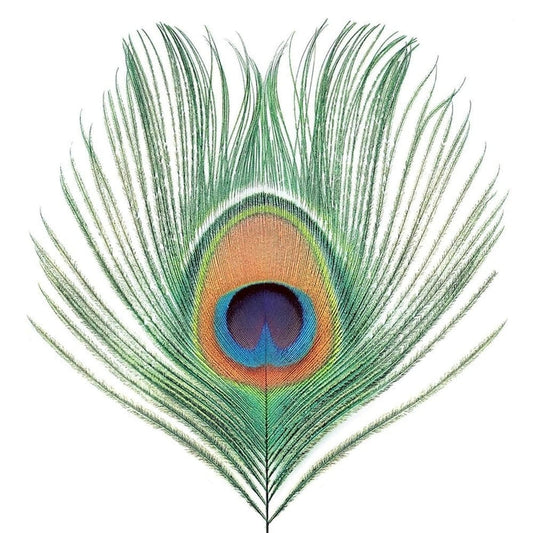 XTC – Apple Venus Volume One