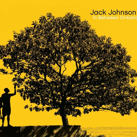 In Between Dreams – Jack Johnson