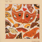 Talk Talk – The Colour Of Spring