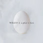 Wilco – A Ghost Is Born (2xLP, 20th Anniversary Expanded Edition)