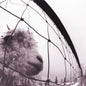 Pearl Jam – Vs.