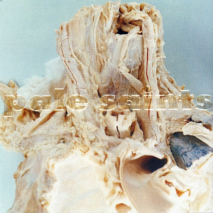 Pale Saints – In Ribbons (30th Anniversary Edition)