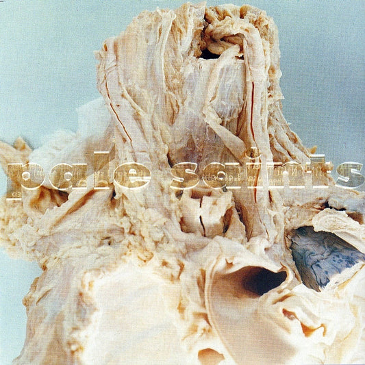 Pale Saints – In Ribbons (30th Anniversary Edition)