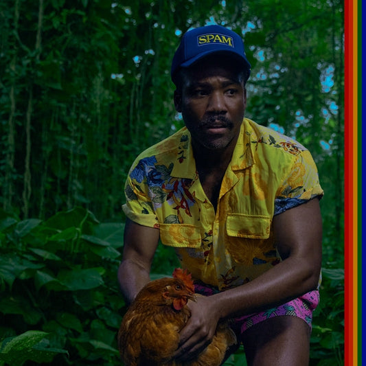 Childish Gambino – Bando Stone And The New World (2xLP)
