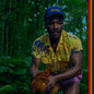 Childish Gambino – Bando Stone And The New World (2xLP)
