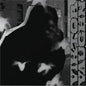 Viktor Vaughn – Vaudeville Villain (2xLP, Silver vinyl)